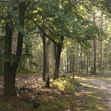 Hébergement de vacances In Veluwe Near Nature Trails, Cleaning Included Voorthuizen