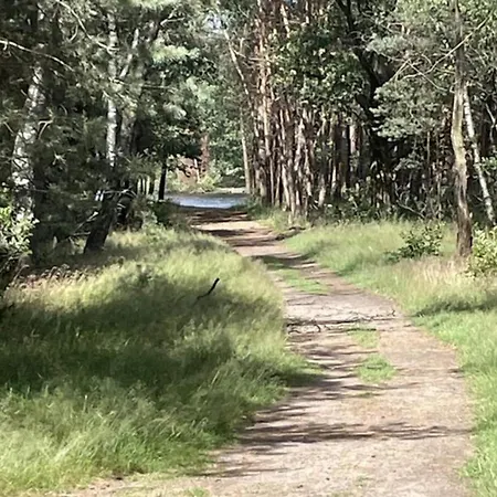 Hébergement de vacances In Veluwe Near Nature Trails, Cleaning Included *
