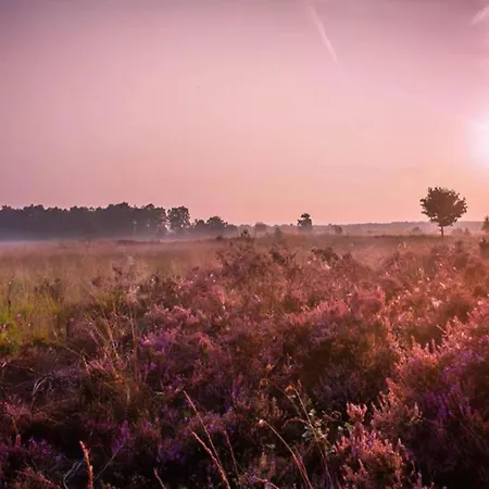In Veluwe Near Nature Trails, Cleaning Included