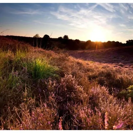 In Veluwe Near Nature Trails, Cleaning Included *