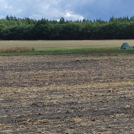 In Veluwe Near Nature Trails, Cleaning Included Hébergement de vacances